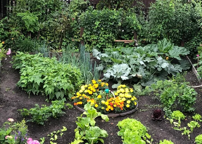 Maison Laurent 3* Курмайор