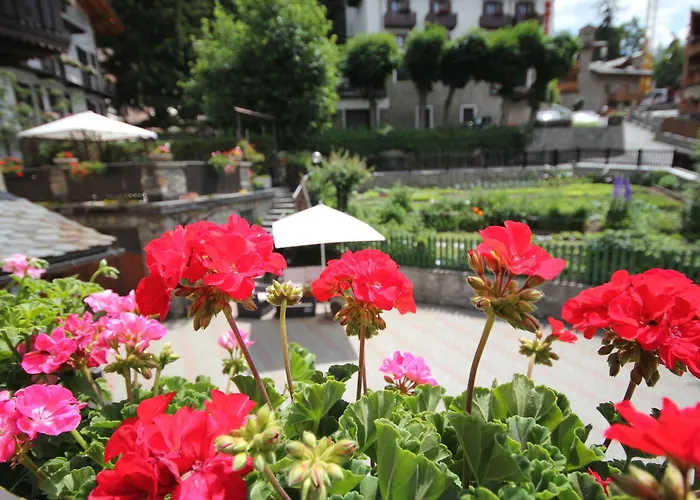 Maison Laurent 3* Курмайор