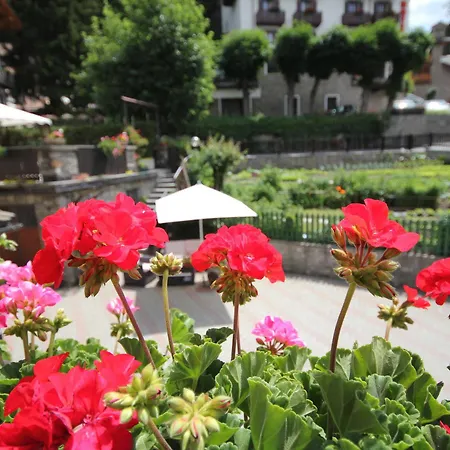 Maison Laurent 3* Courmayeur